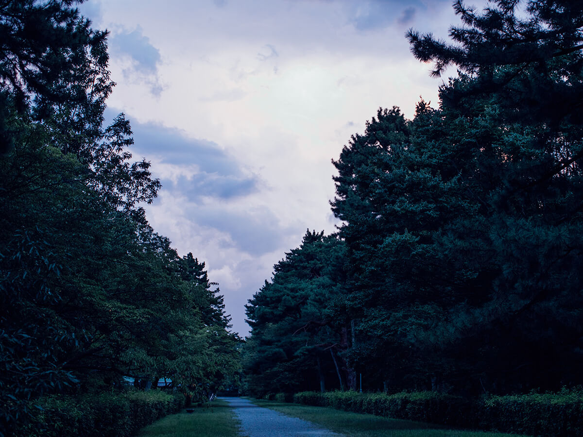 京都〈京都御苑〉園内