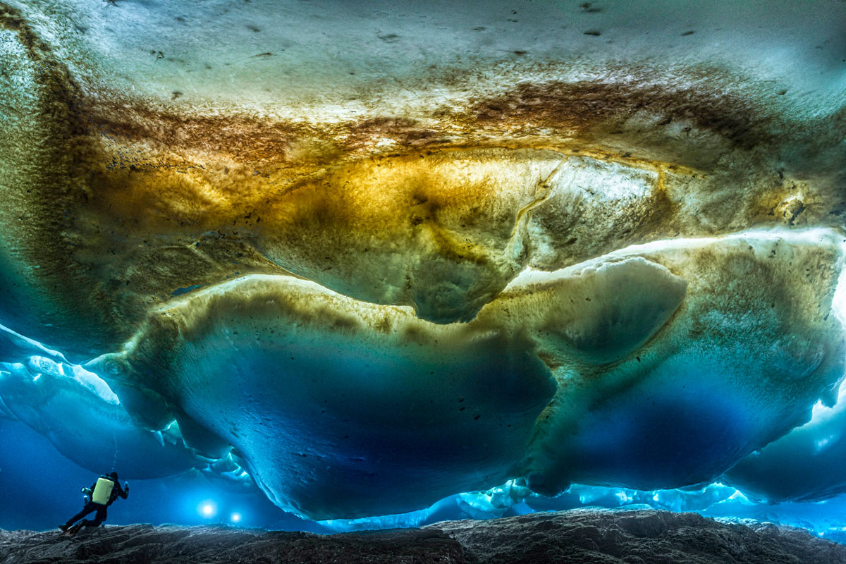 南極の深海を探査した「ゴンベッサIII」の様子