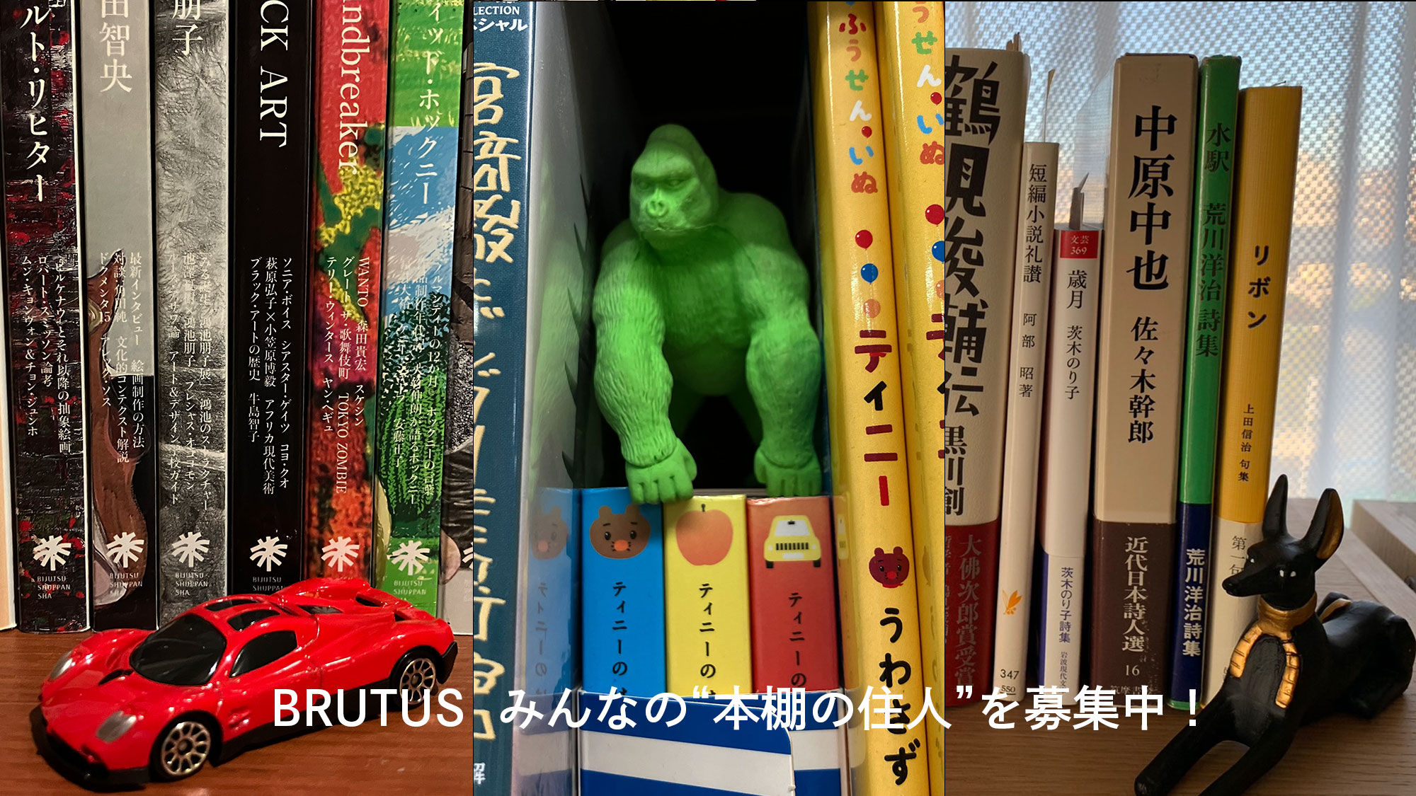 本棚に置くのは本だけじゃない？あなたの家の“本棚の住人”を大募集