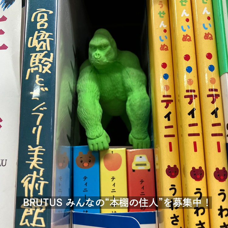 本棚に置くのは本だけじゃない？あなたの家の“本棚の住人”を大募集！