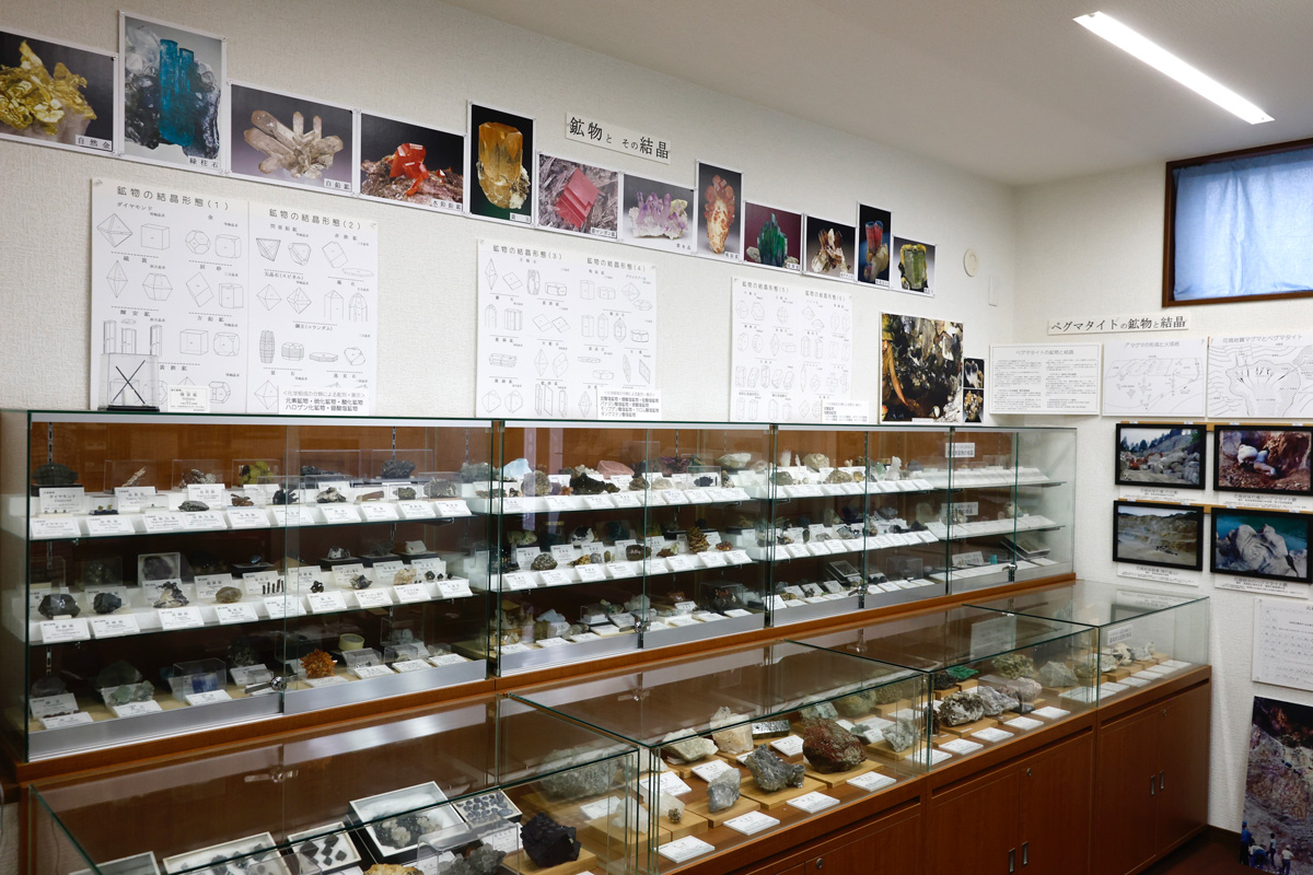 展示室の様子②