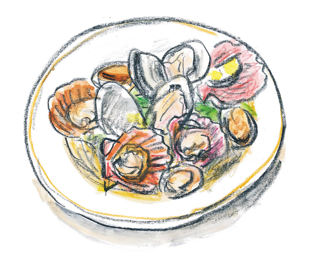 マメイケダ イラスト