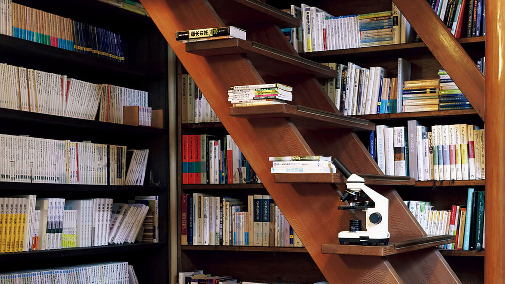 思索に耽る、読書の旅。