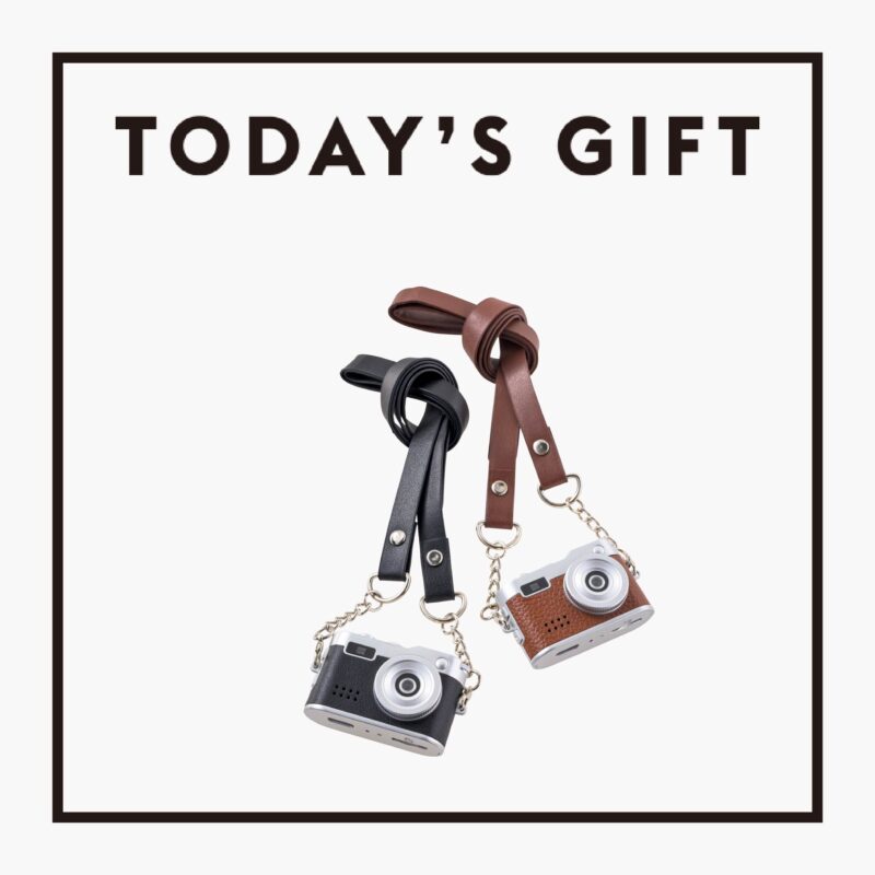 〈SIGHTRON JAPAN〉の超小型トイカメラ