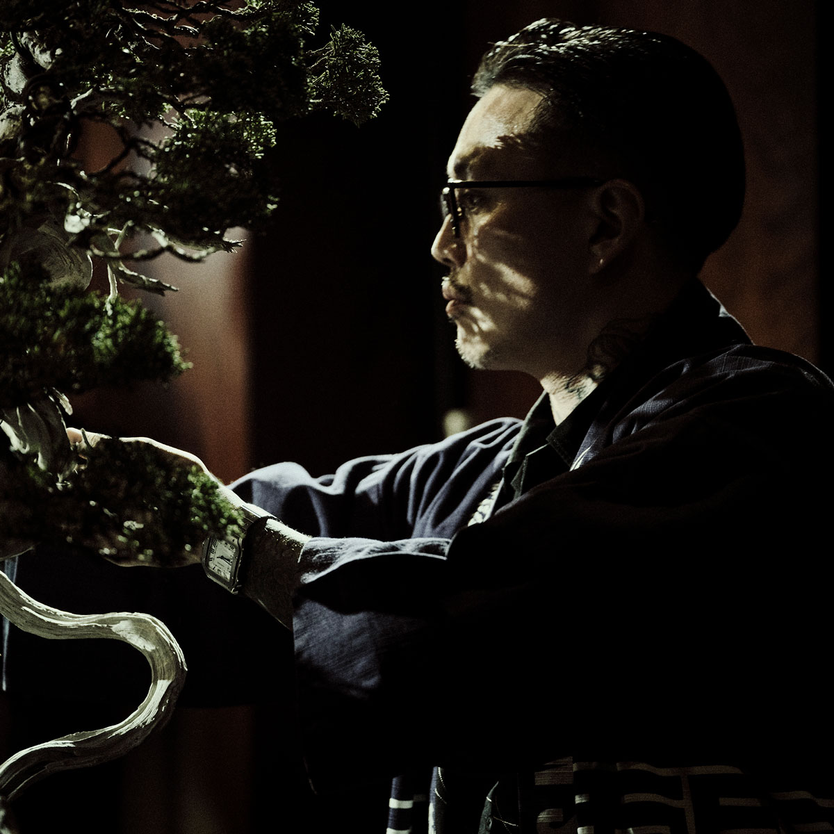 ライブ剪定の様子