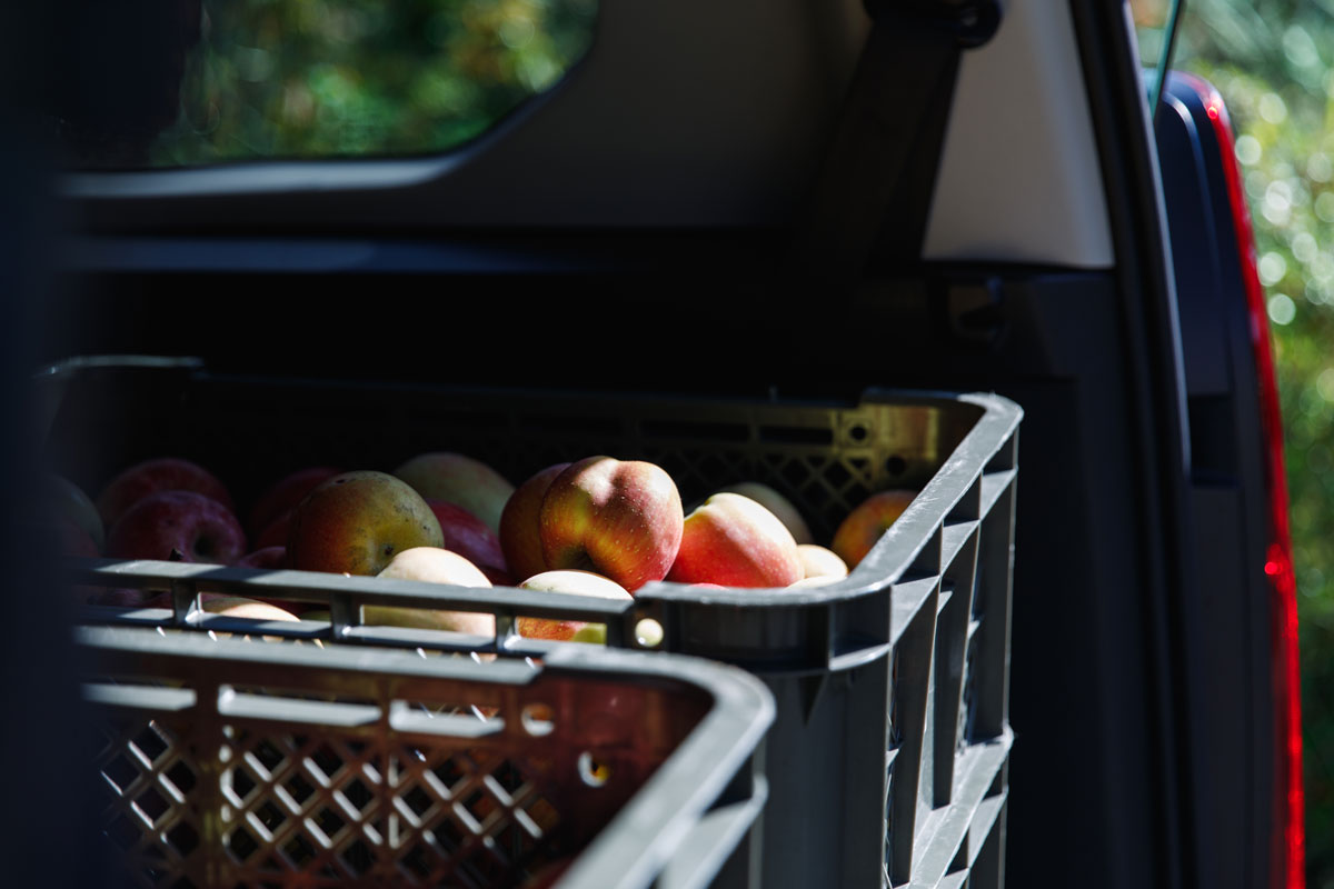 山形の農園から届いたリンゴ