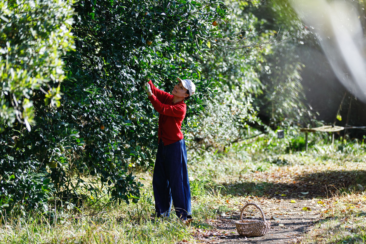 山本祐布子さん