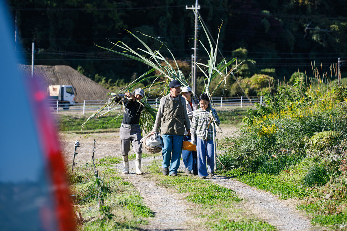 サトウキビ畑にやってきた江口さん一家