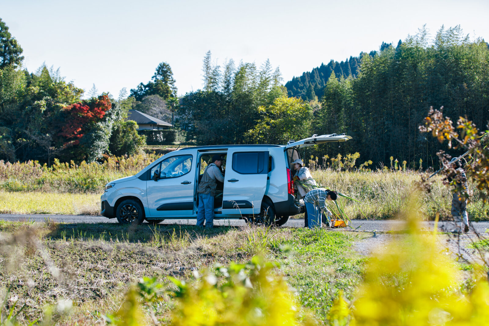 車内にサトウキビを積み込む様子
