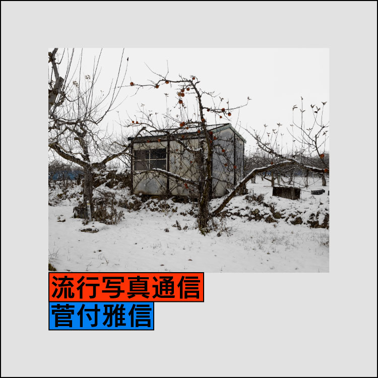 流行写真通信 第35回：北島敬三はイメージそのものを見せるために写真を面白く、つまらなくする