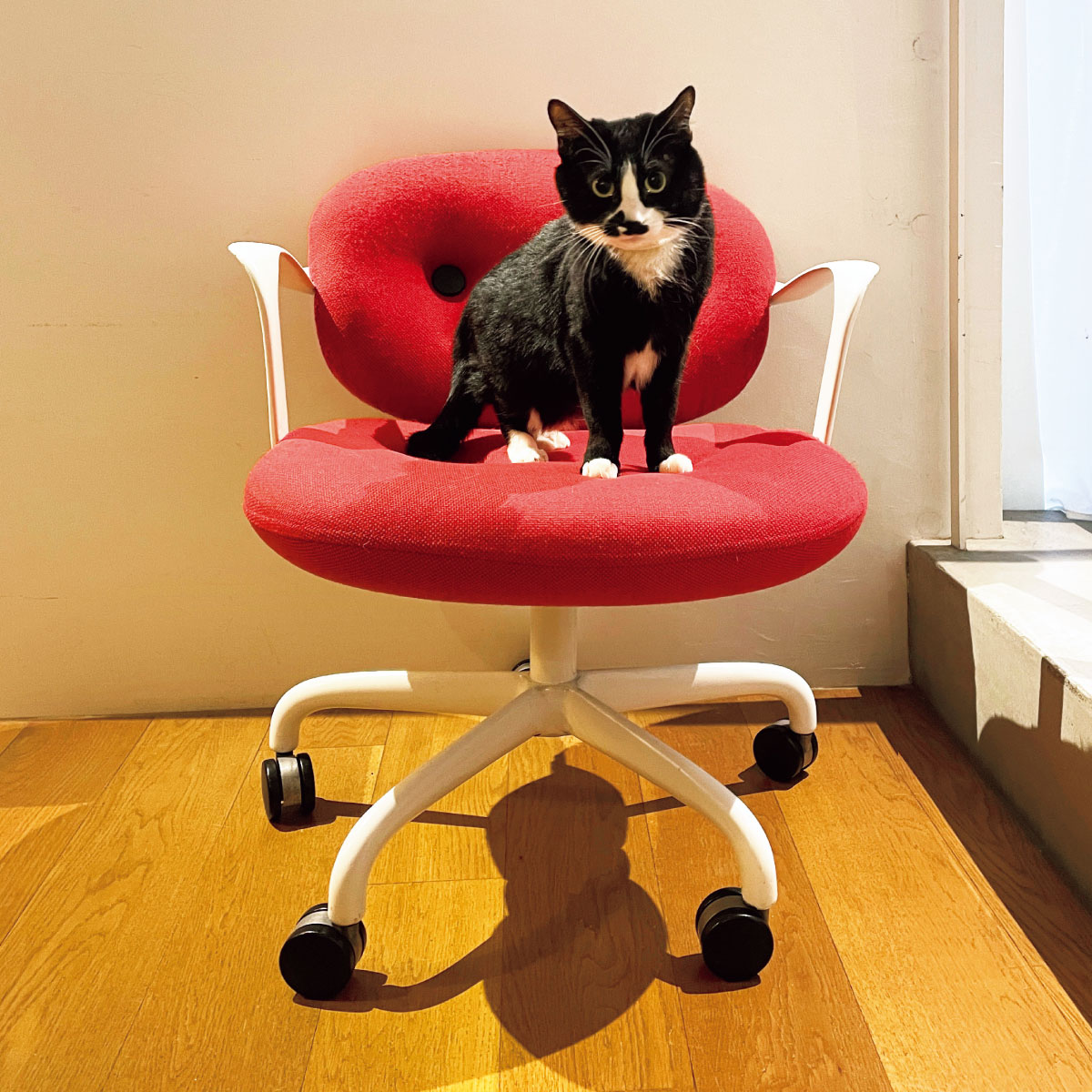 アンドリュー・モリソン&ブルース・ハンナのModel 2328