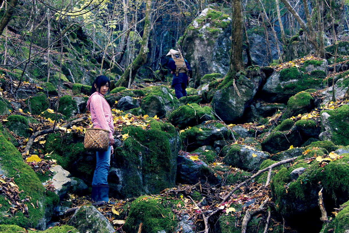 映画『祖谷物語－おくのひと－』