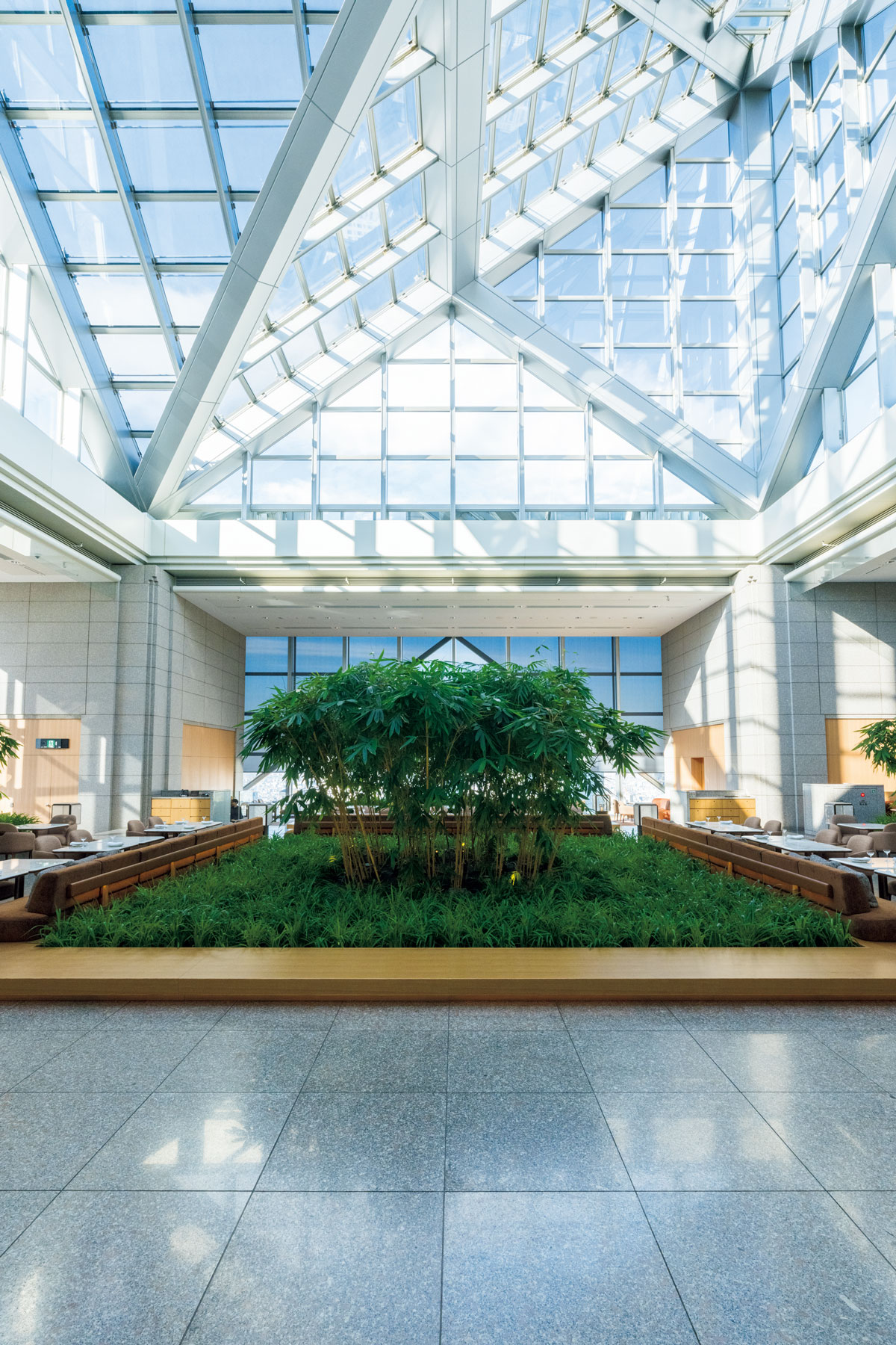 パーク ハイアット 東京 41階のアトリウムと竹の植栽