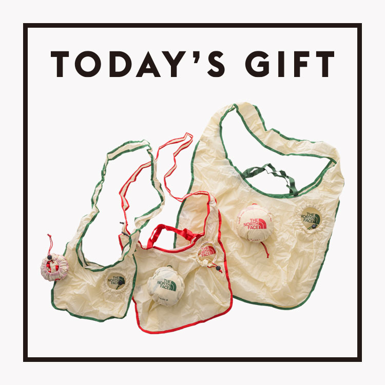 〈THE NORTH FACE〉のパッカブルショルダー