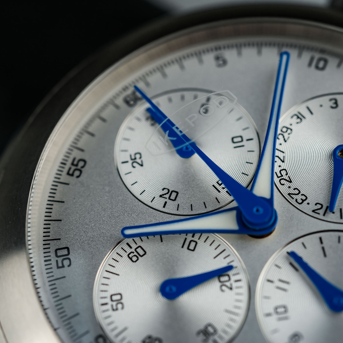 【New：新作】ヘミポッド 2025