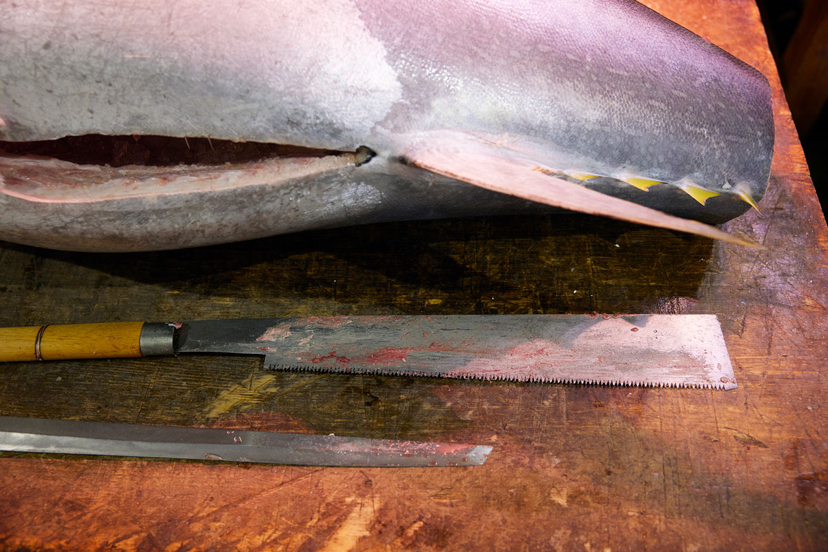 ノコギリとマグロ包丁