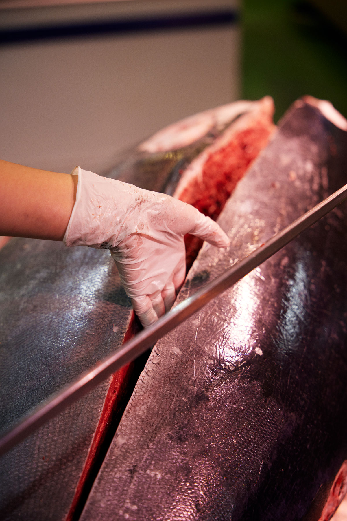 マグロを解体する様子