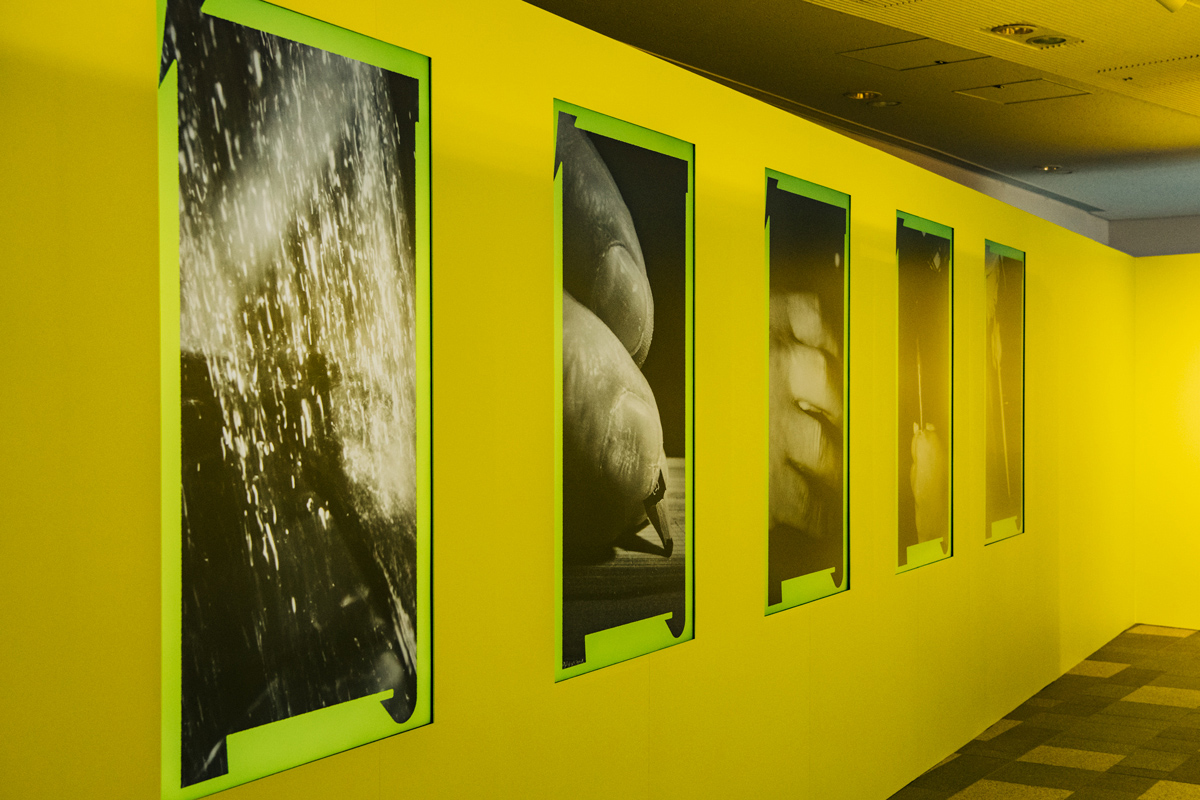 会場入口の映像展示