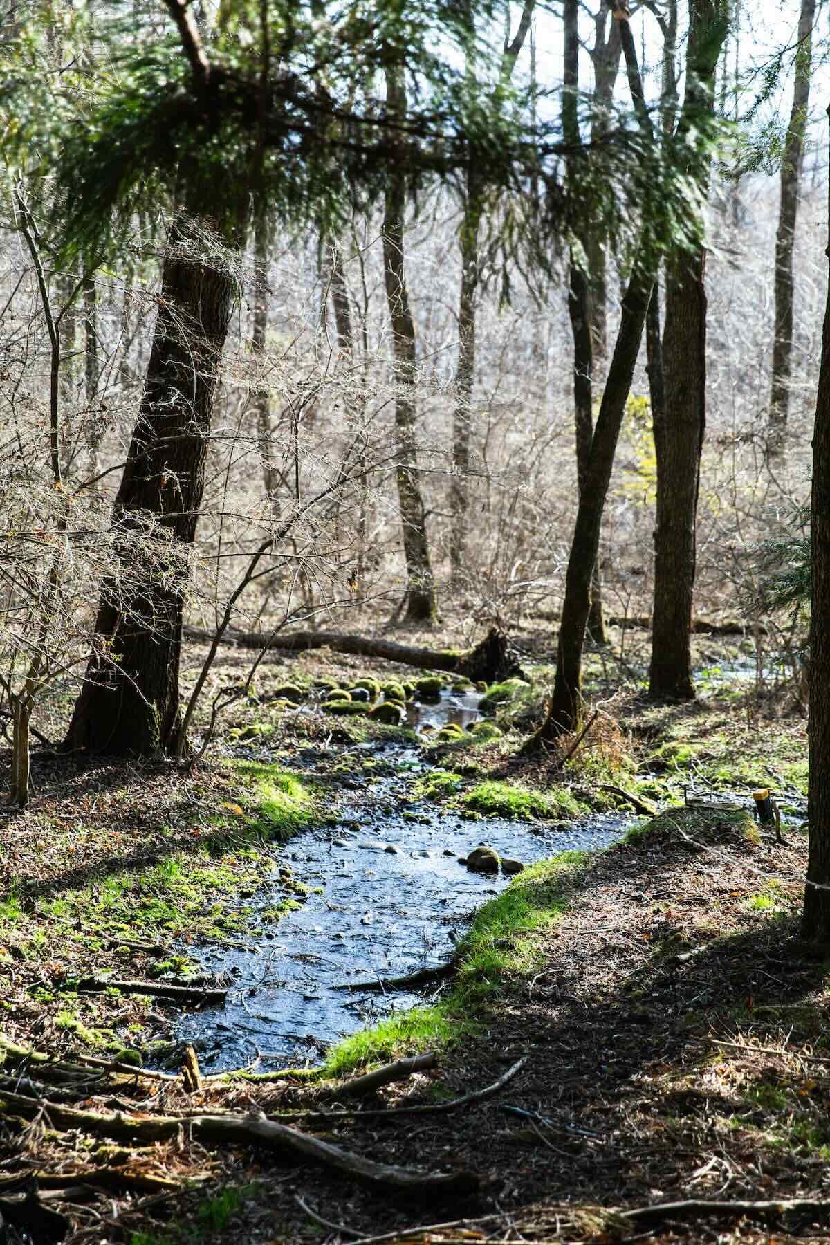 ジェリーさん一家のお気に入りの場所