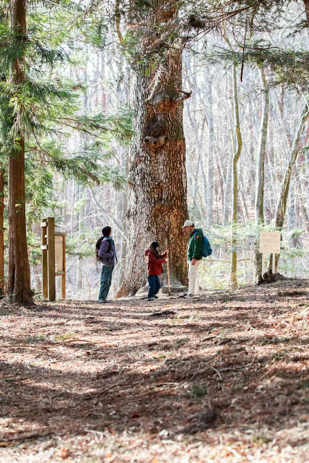 モミの木の横に立つジェリーさん一家