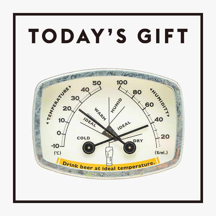 〈DULTON〉の温湿度計