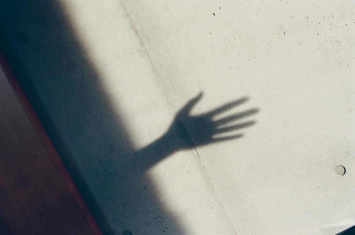 手の影の写真