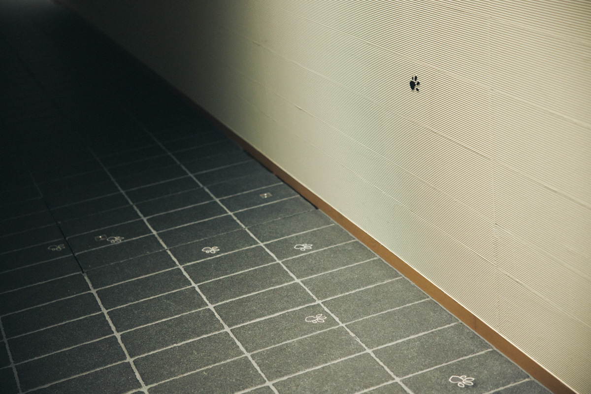 カクテルバー〈Nine Tails(ナインテイルズ)〉の壁には足跡が