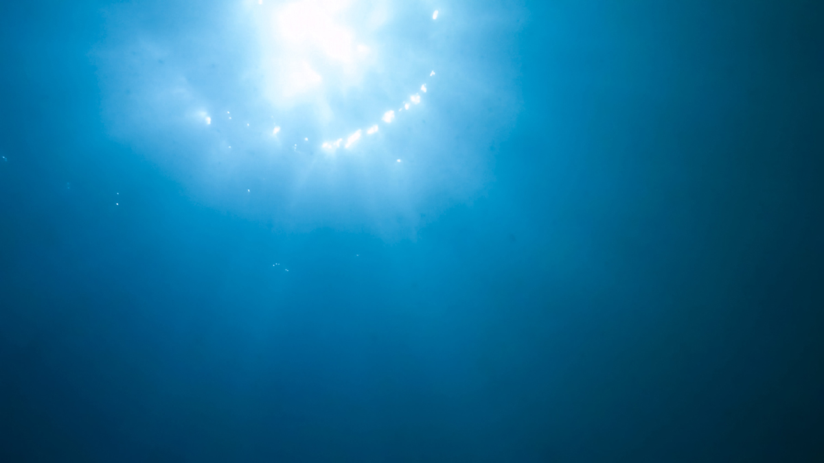 チョータンタン