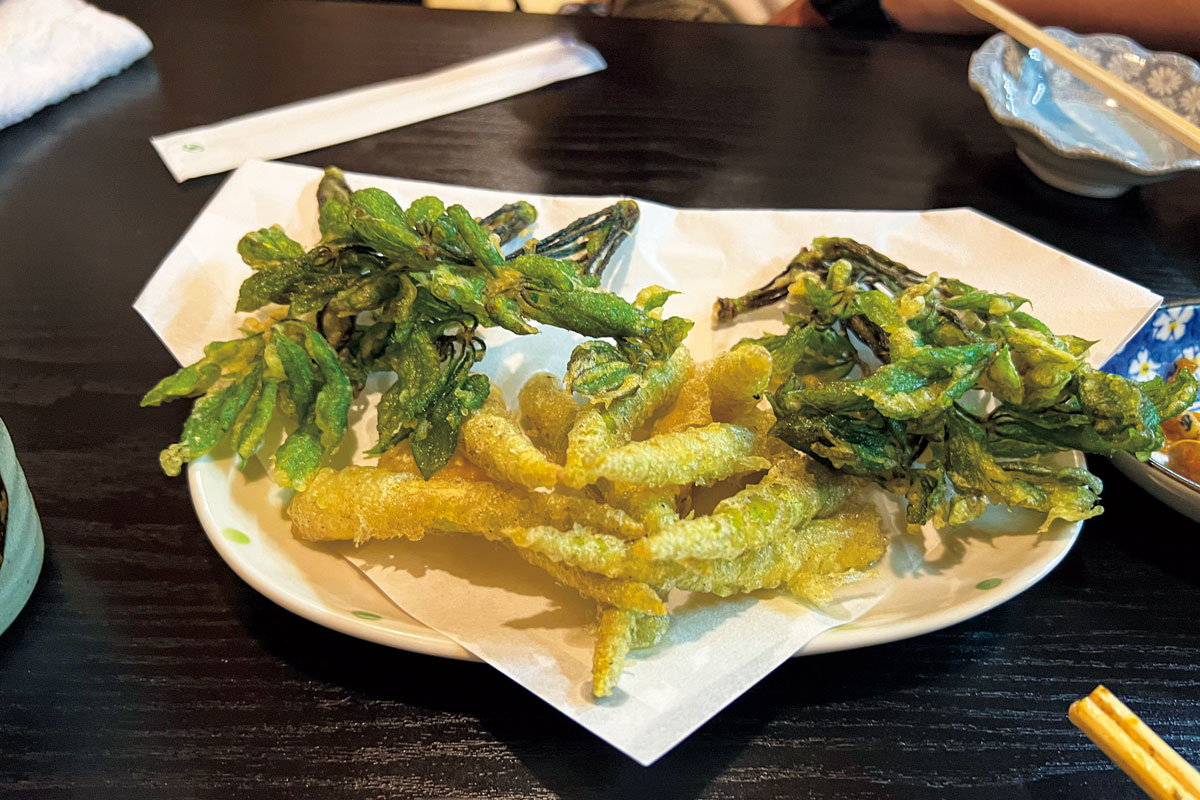 山菜の天ぷら