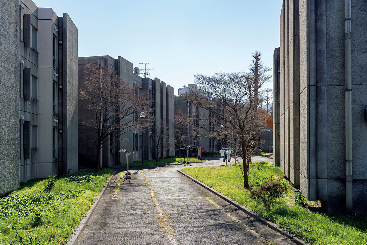 東京 大学 三鷹 国際 学生 宿舎