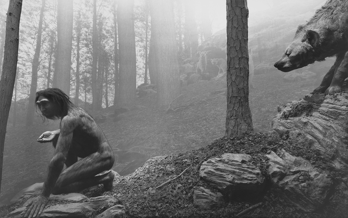 On omnipresent photography：Hiroshi Sugimoto's Contemplative Gaze
