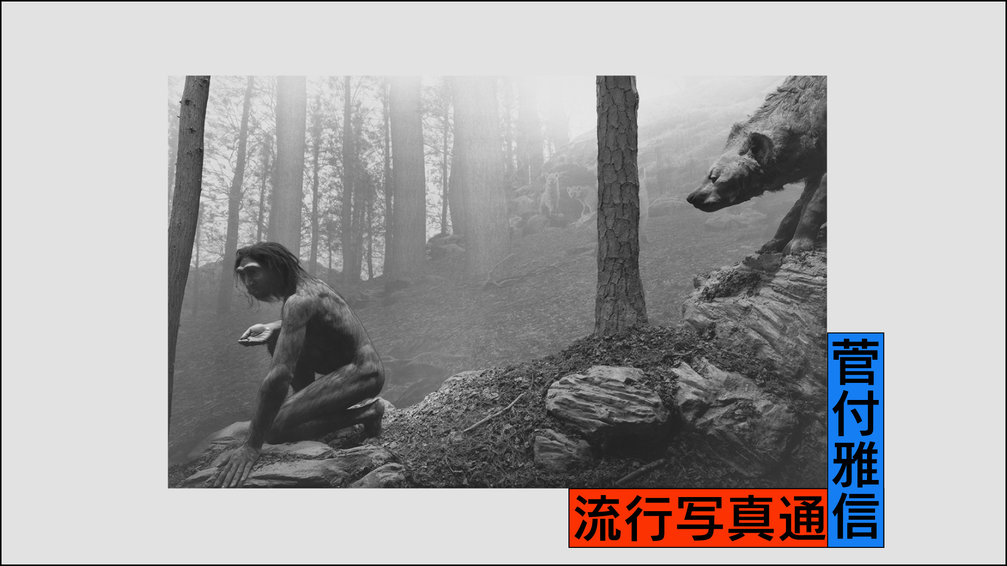 菅付雅信「流行写真通信」第40回：銀塩写真と人類文明の「絶滅」を