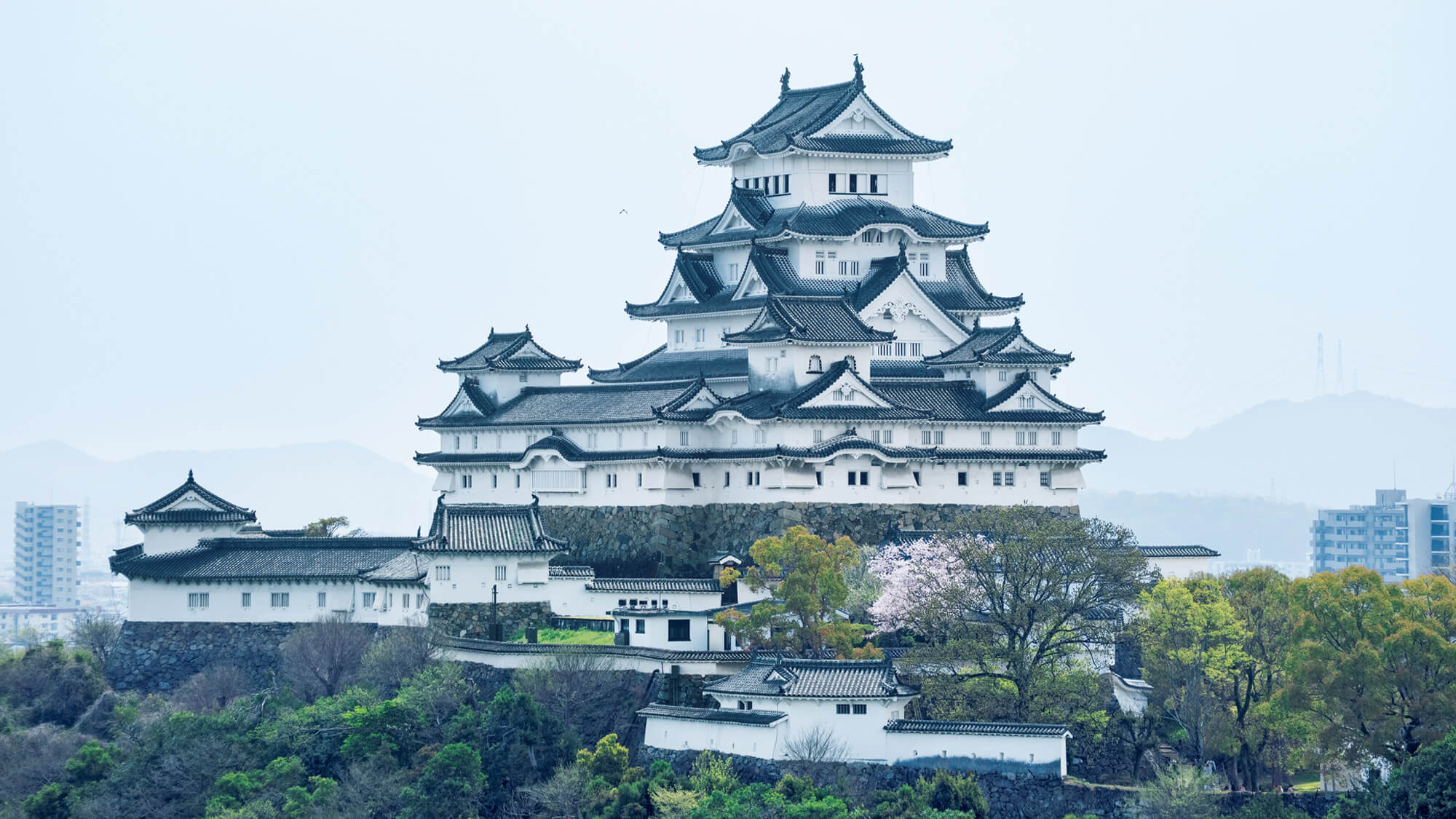地形と建築が融合する城郭建築の最高峰を、歩いて体感する。建築家・藤本壮介と訪れる国宝〈姫路城〉