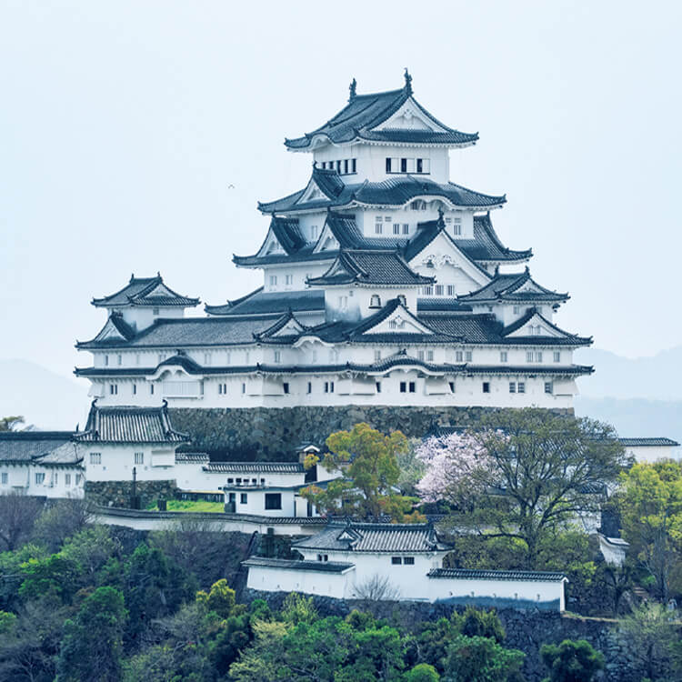 地形と建築が融合する城郭建築の最高峰を、歩いて体感する。建築家・藤本壮介と訪れる国宝〈姫路城〉