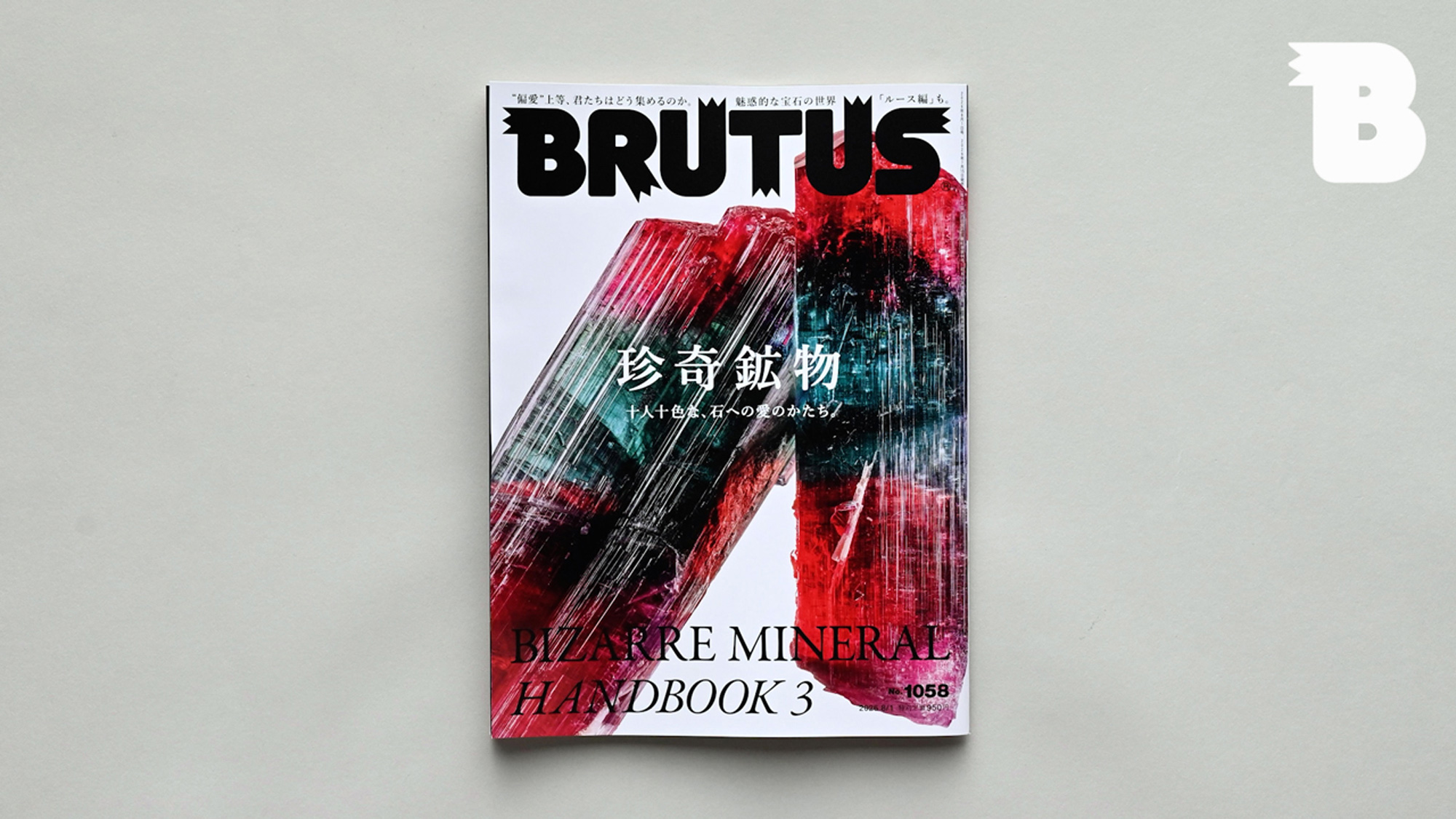 珍奇植物図鑑。大ぶりな葉が美しい観葉植物「アンスリウム」 | ブルータス| BRUTUS.jp