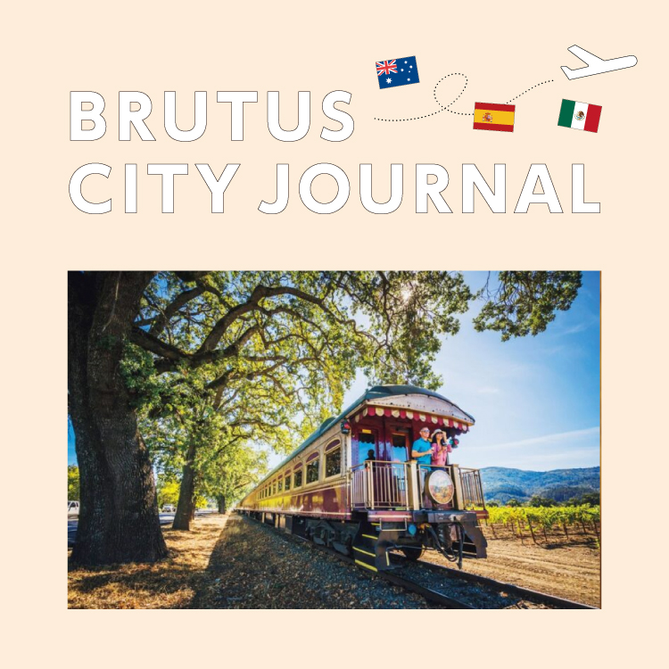 あなたの国を旅するのにおすすめのローカル鉄道は？：BRUTUS CITY JOURNAL