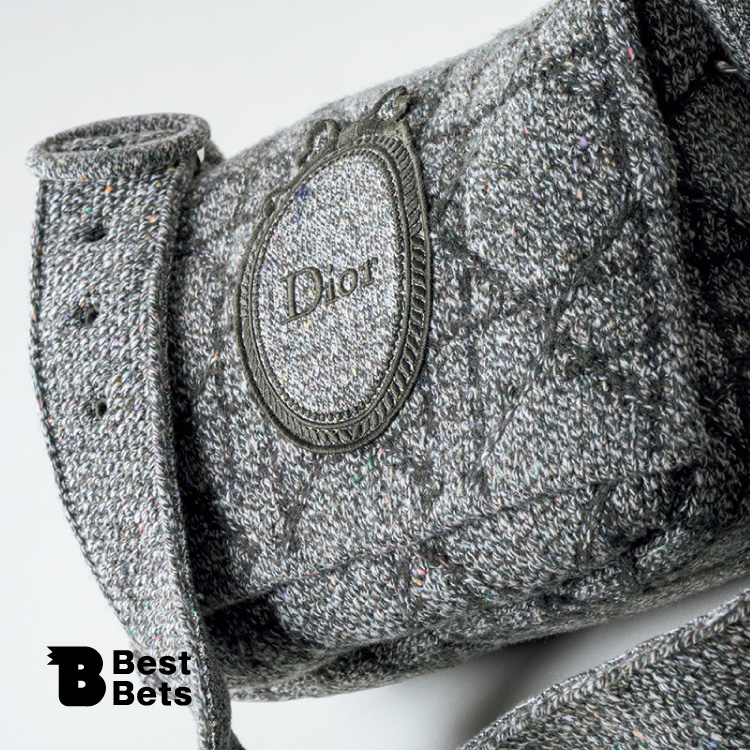 「メダリオン」を柔和に表現。〈Dior〉のバッグ：Brutus Best Bets