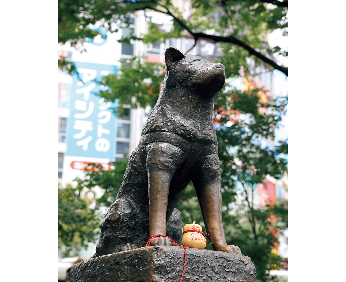 大日窯　信令　犬像 犬と人の絆の証し、「像」になったレジェンド犬たち | ブルータス