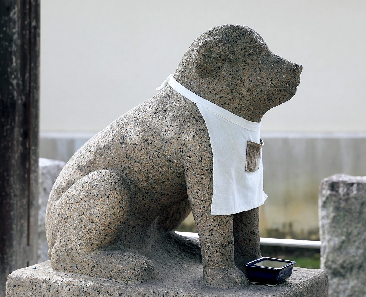犬と人の絆の証し、「像」になったレジェンド犬たち | ブルータス