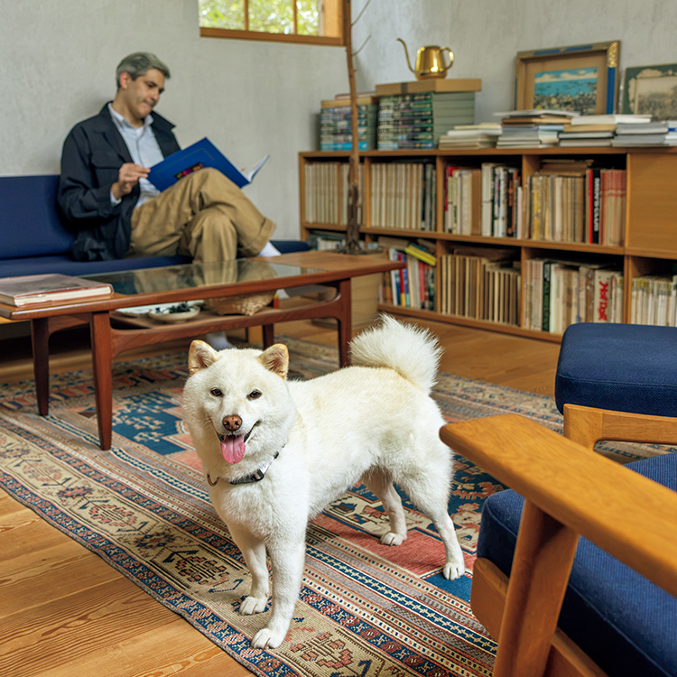 生活に新しいリズムや驚きを運び込む、愛しき存在。デーヴィッド・マークスの愛犬・うず