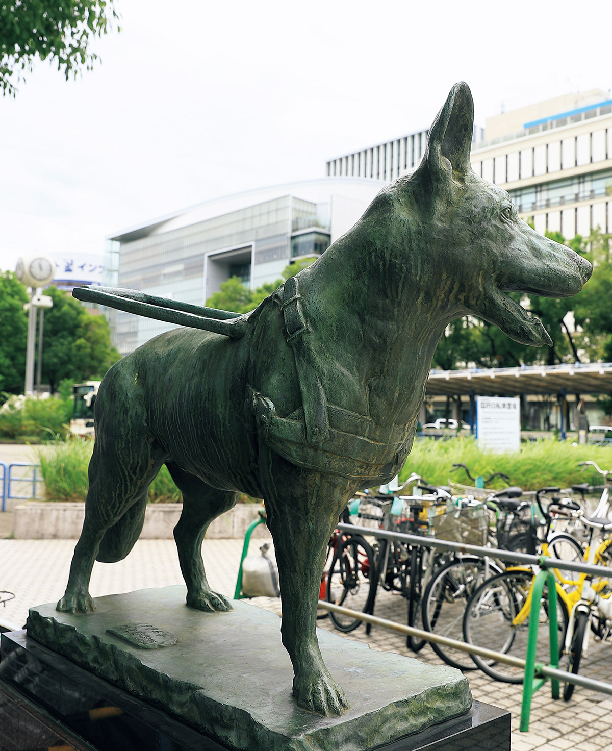 犬と人の絆の証し、「像」になったレジェンド犬たち | ブルータス