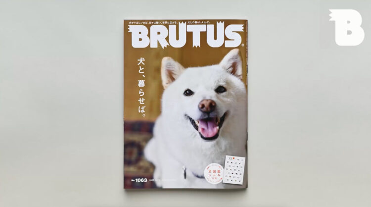 No.1063「犬と、暮らせば。」立ち読み動画サムネイル